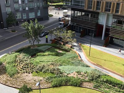 614 / 18 Park Lane, Chippendale