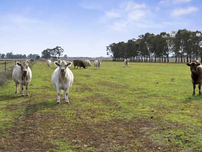 126 BEDWELL ROAD, Rushworth