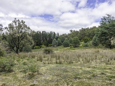 Lot 2, Fyfes Road, Mountain River