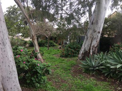 44 Ridgefield Avenue, Paradise