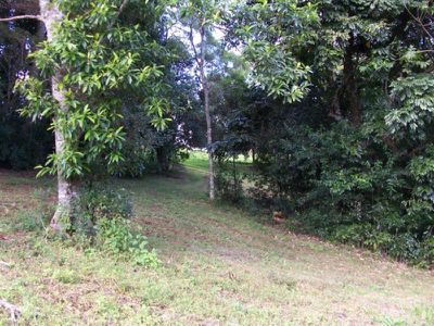 Maleny
