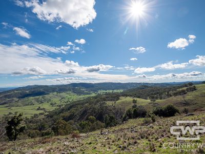 Lot 21 Halls Creek Road, Bendemeer