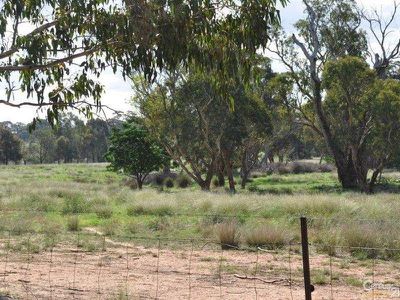 9L Gidgee Road, Dubbo