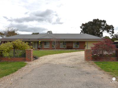53 Ely Street, Oxley