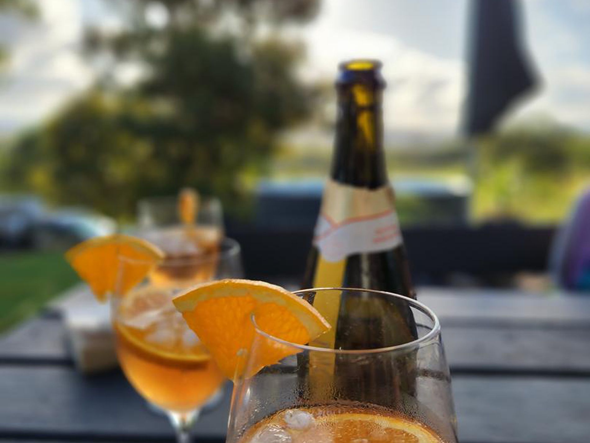 474 Whelan Road, Bollier