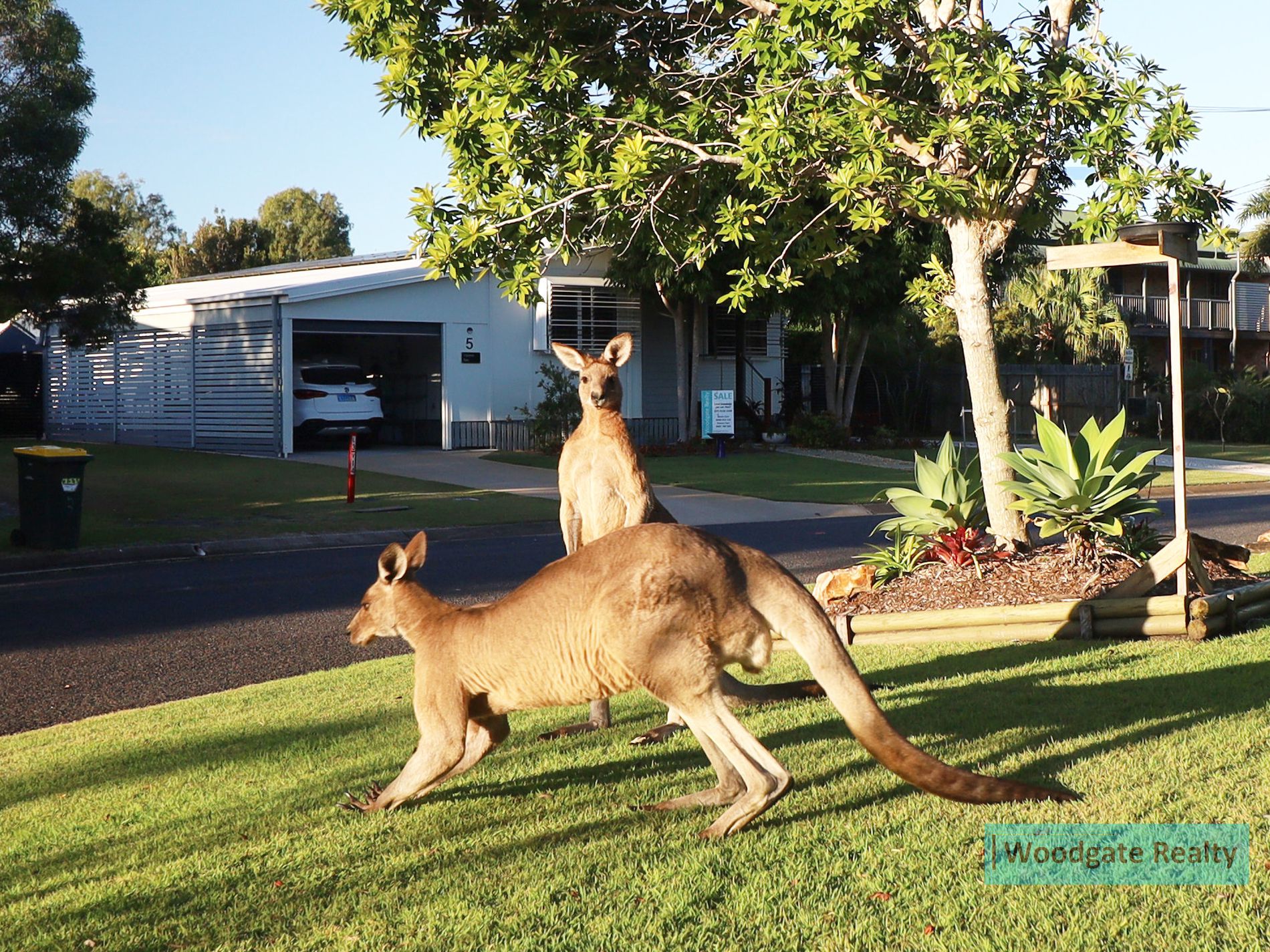 5 SNAPPER COURT, Woodgate