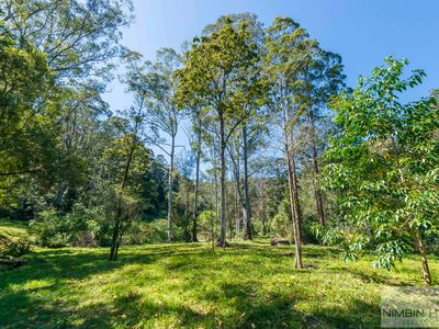10 / 924 Blue Knob Rd, Nimbin