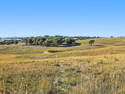 Lot 12Z, 1220 Heathcote-Redesdale Road, Heathcote