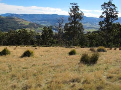 Huon Highway, Huonville