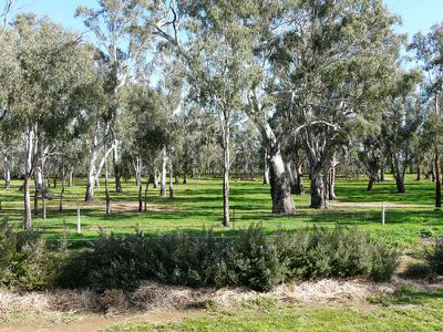 Tocumwal