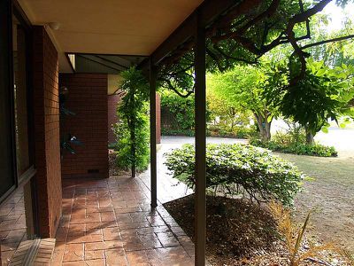 547 Spurrway Drive, Albury