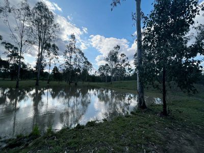 Wattle Camp