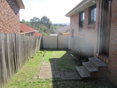 Blackbutt