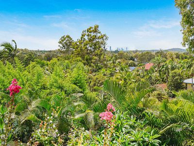 51 ADAMINABY DRIVE, Helensvale