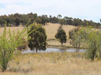 259 Davis Road, Mount Camel