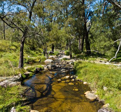 Lot 22 Neringla Road, Braidwood