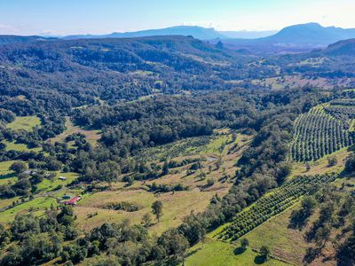 1740  Nimbin Road, Koonorigan