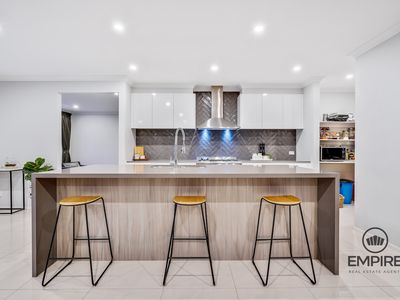20 Aspire Avenue, Clyde North