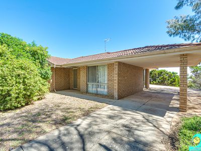 7 Hornpipe Court, Yanchep