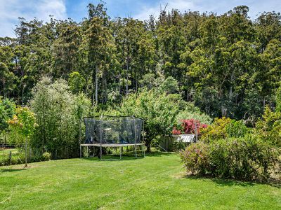 7602 Channel Highway, Cygnet