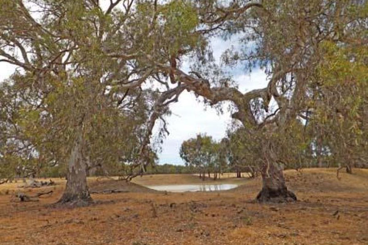 Gillies Road, Timmering