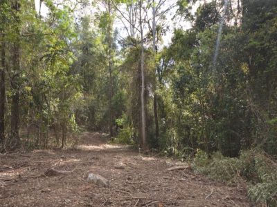 312 Booloumba Creek Road, Cambroon
