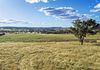 11 / Stapletons Road, Molong