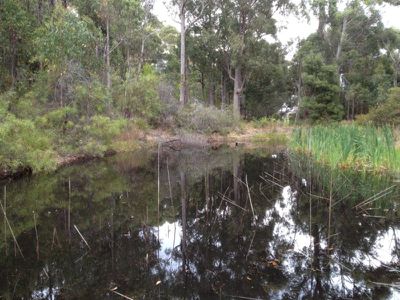 Lot 1 Lanes Road, Glen Huon