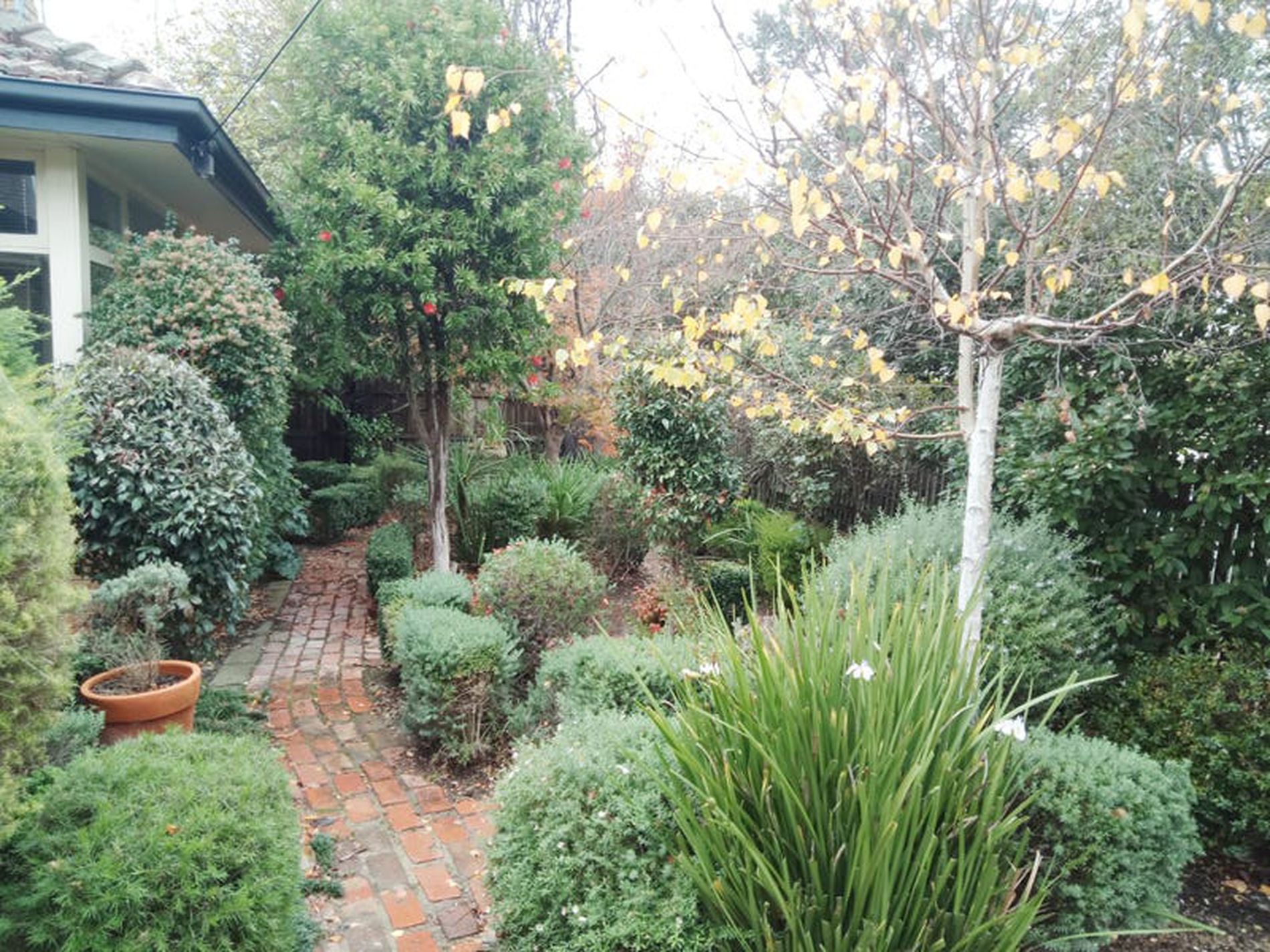 14 Saffron Street, Newtown