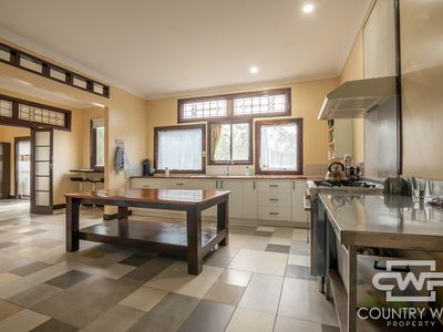106 Warra Forest Road, Mount Mitchell