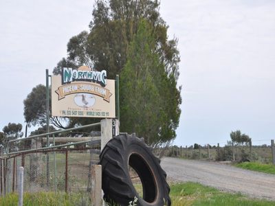 Mystic Park