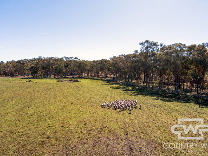 Lot 8, - Emmaville Road, Emmaville