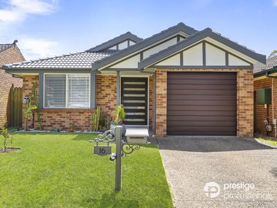 16 Tomago Court, Wattle Grove