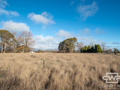Lot 1, Tuckeys Lane, Guyra