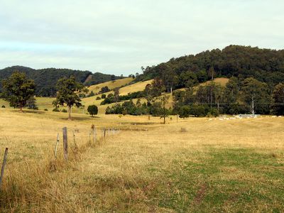 551 Possum Brush Road, Possum Brush