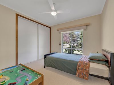 1047 Great Alpine Road, Tarrawingee