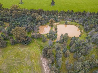 1255 Back Barooga Road, , Berrigan