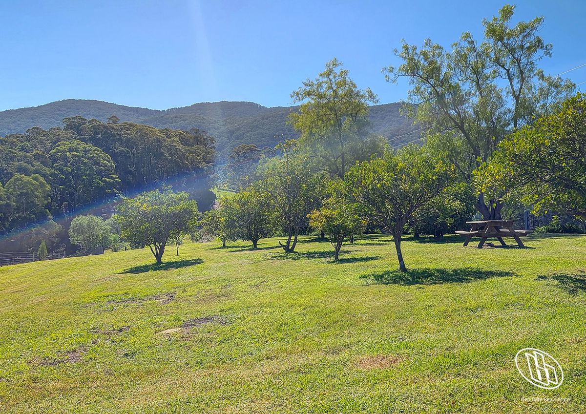 9050 Springhills Road, Tilba Tilba