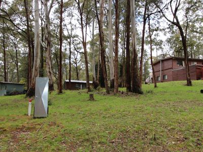 40 Rosella Street, Sawmill Settlement