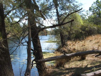 Pindari Dam Road, Ashford
