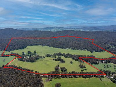 1129 Moyhu-Meadow Creek Road, Meadow Creek