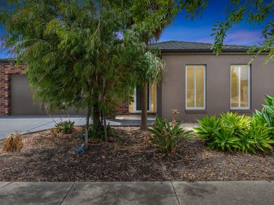 13 Rowan Avenue , Williams Landing