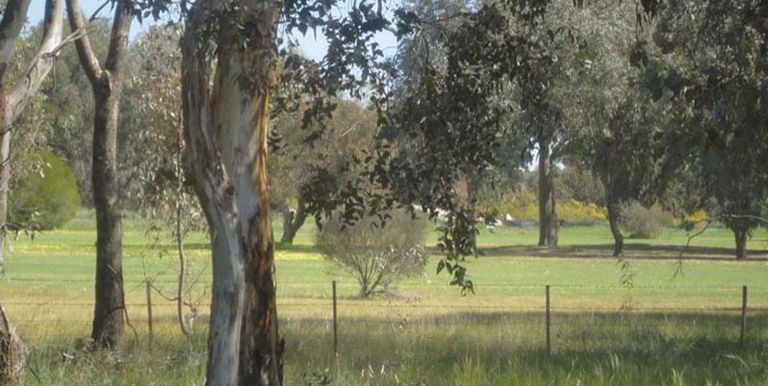 28 Hoskin Lane, Violet Town