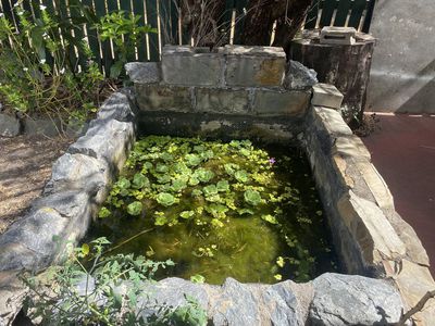 52A Hope Street, Cooktown