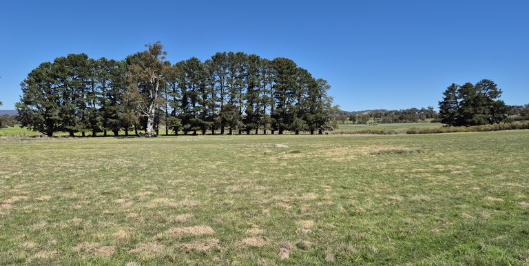 Lot 1 Longwood Ruffy Road , Ruffy