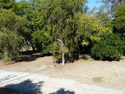 25 Falkiner Street, Tocumwal