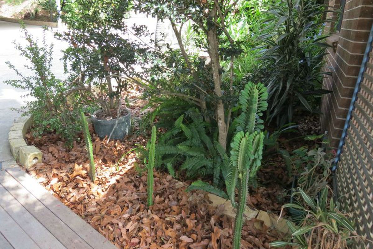 236 Fords Road, Koorainghat