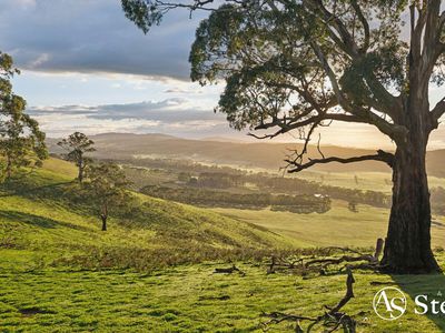 260 & 310 Mt William Road, Goldie