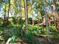 4 Utingu Place, Bayview