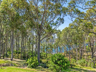 3 Dale Place, Rosedale